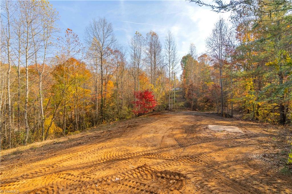 1165 Dehart Community Center Road Hays, NC 28635 - Photo 6 of 13