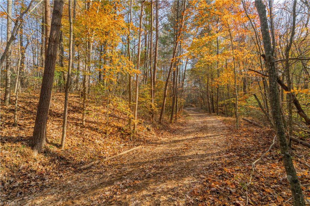 1165 Dehart Community Center Road Hays, NC 28635 - Photo 8 of 13