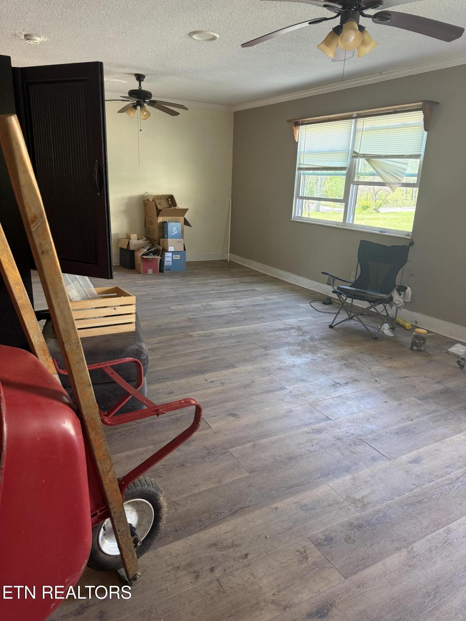 6200 Maloneyville Road Corryton, TN 37721 - Photo 3 of 24