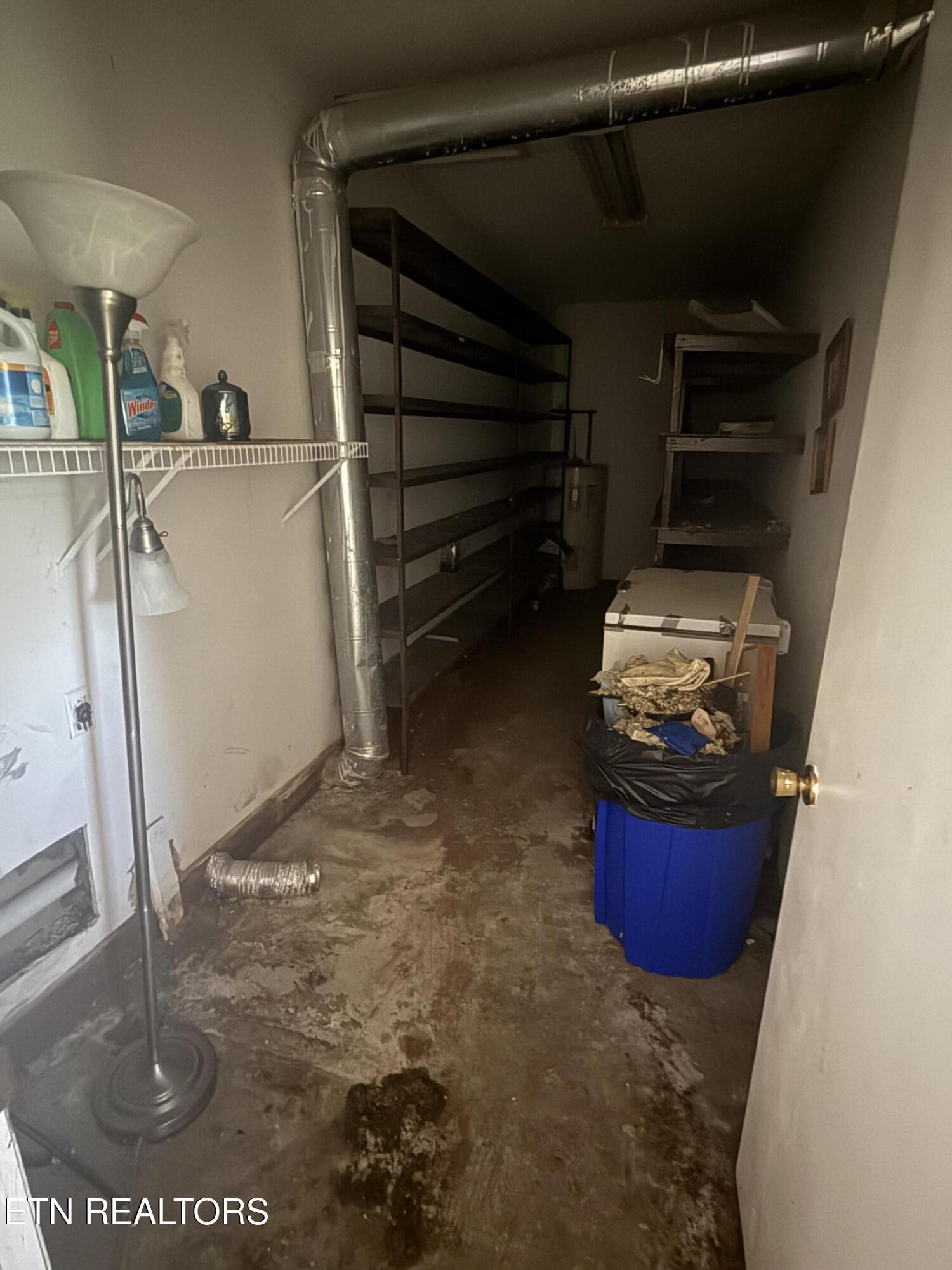 6200 Maloneyville Road Corryton, TN 37721 - Photo 4 of 24