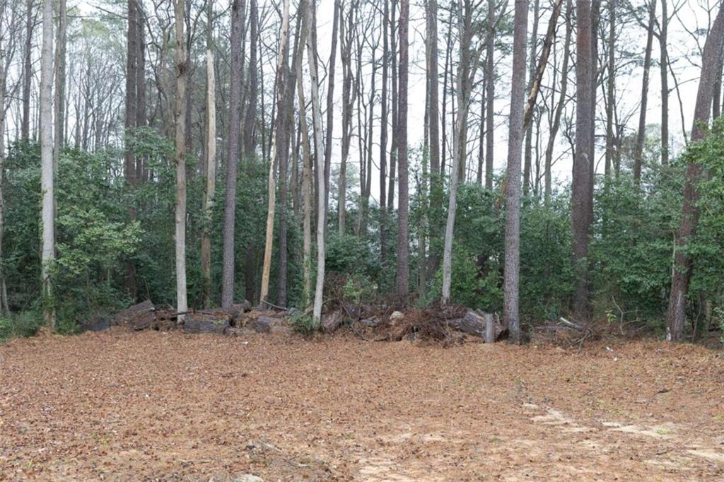 6540 Connell Road South Fulton, GA 30349 - Photo 15 of 17