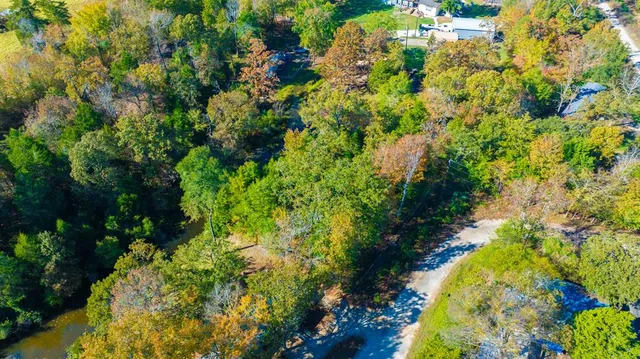 a view of a garden with plants