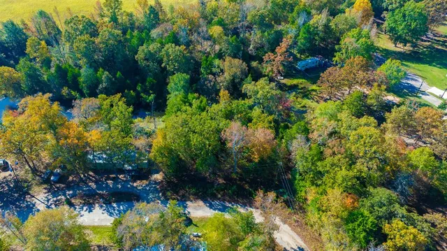 a view of a garden with plants