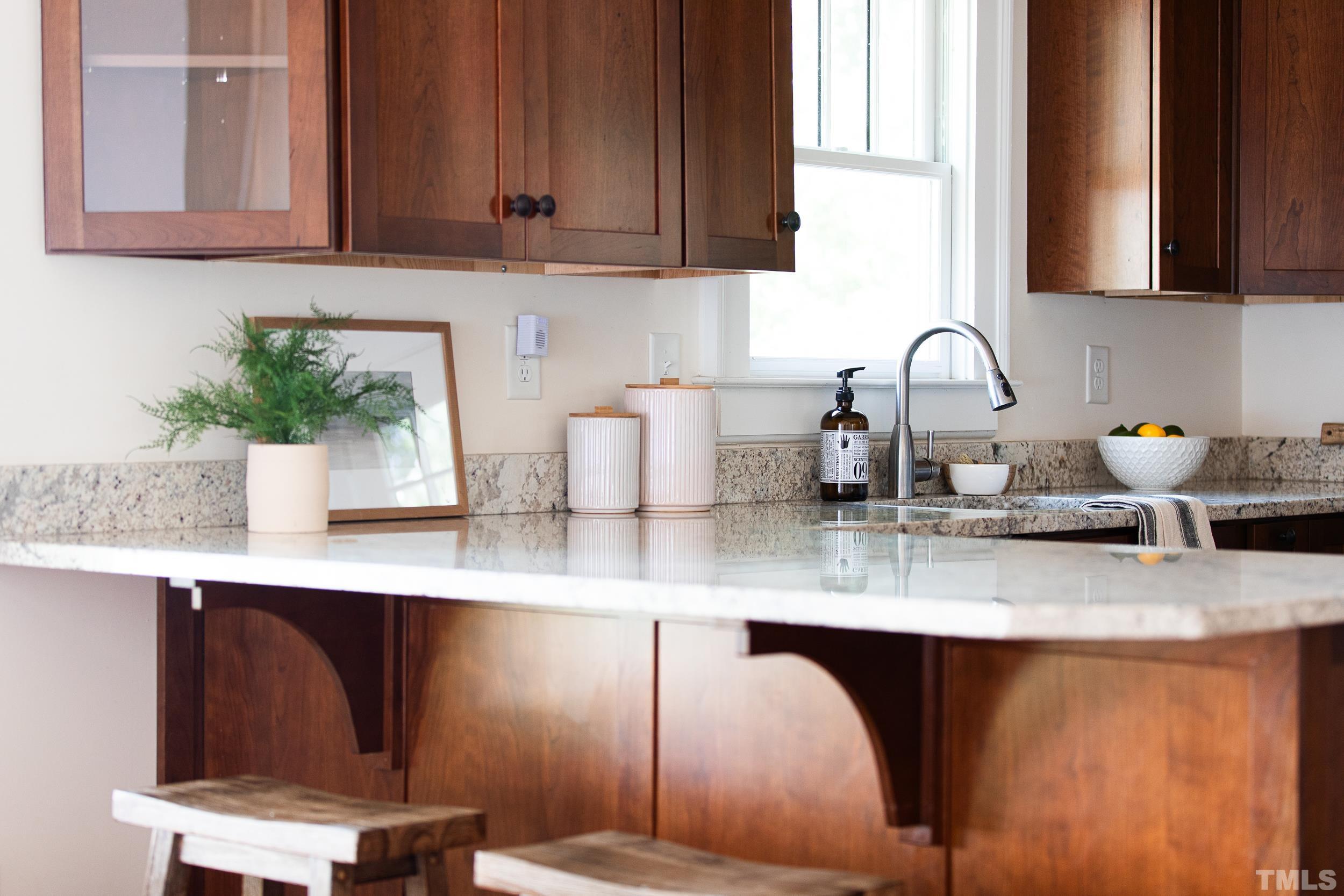 1218 North Roxboro Street Durham, NC 27701 - Photo 10 of 39 a kitchen with a sink a potted plant and cabinets