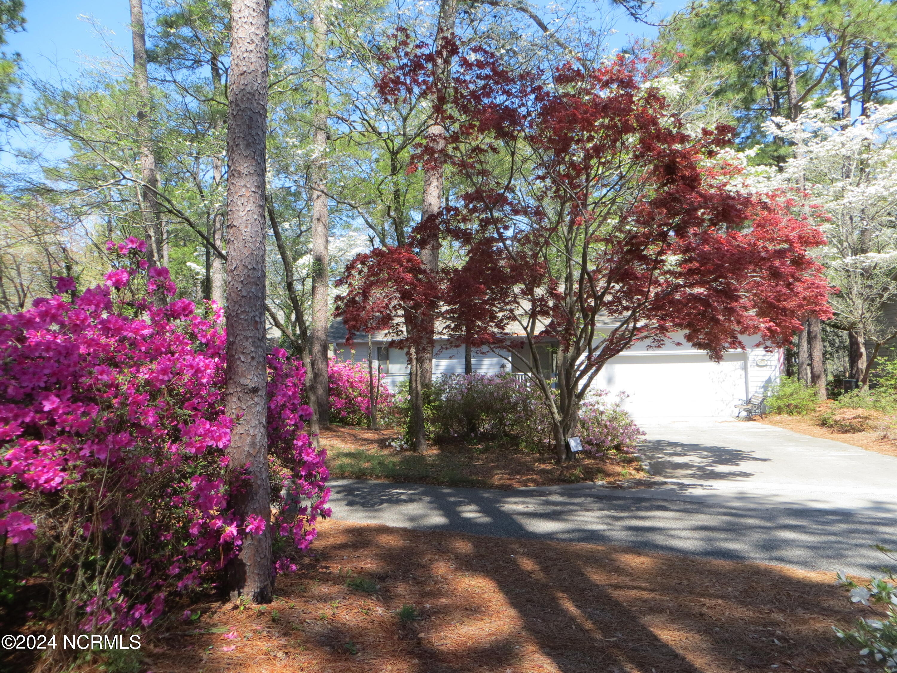 4113 Red Bird Road Wilmington, NC 28412 - Photo 60 of 63 38D31BAA