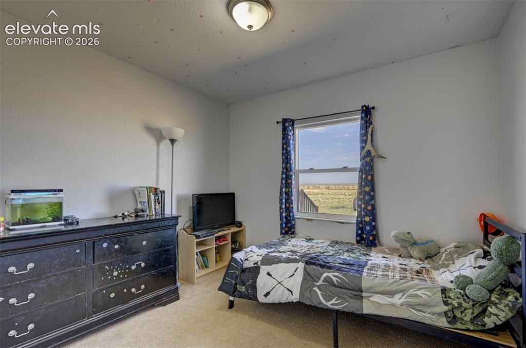 13455 Milne Road Colorado Springs, CO 80928 - Photo 21 of 34