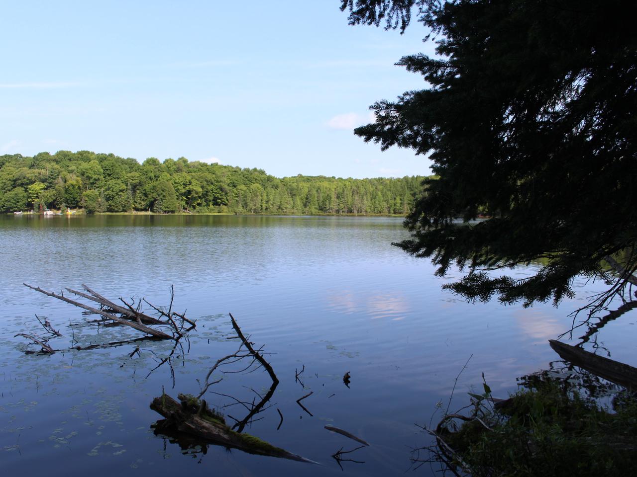 On Poor Lake Road, Unit LOT Watersmeet, MI 49969 - Photo 7 of 27 Gallery Image 7