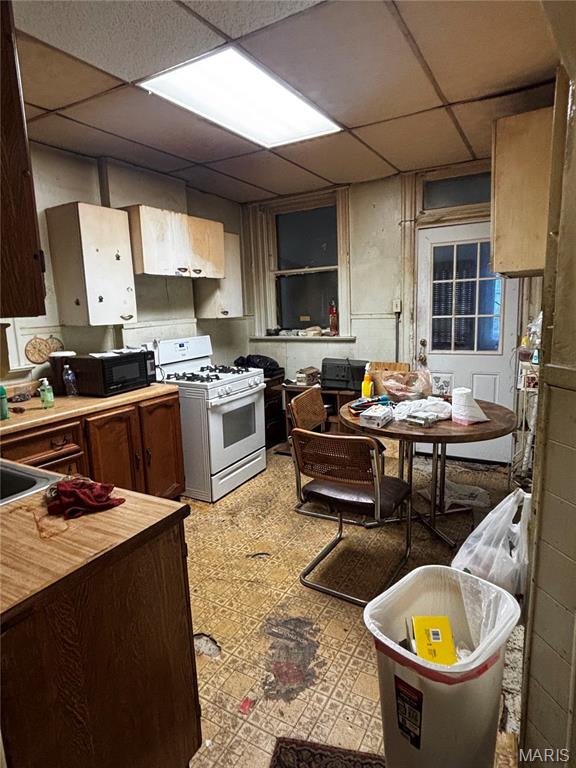 1327 Goodfellow Boulevard St. Louis, MO 63112 - Photo 10 of 39