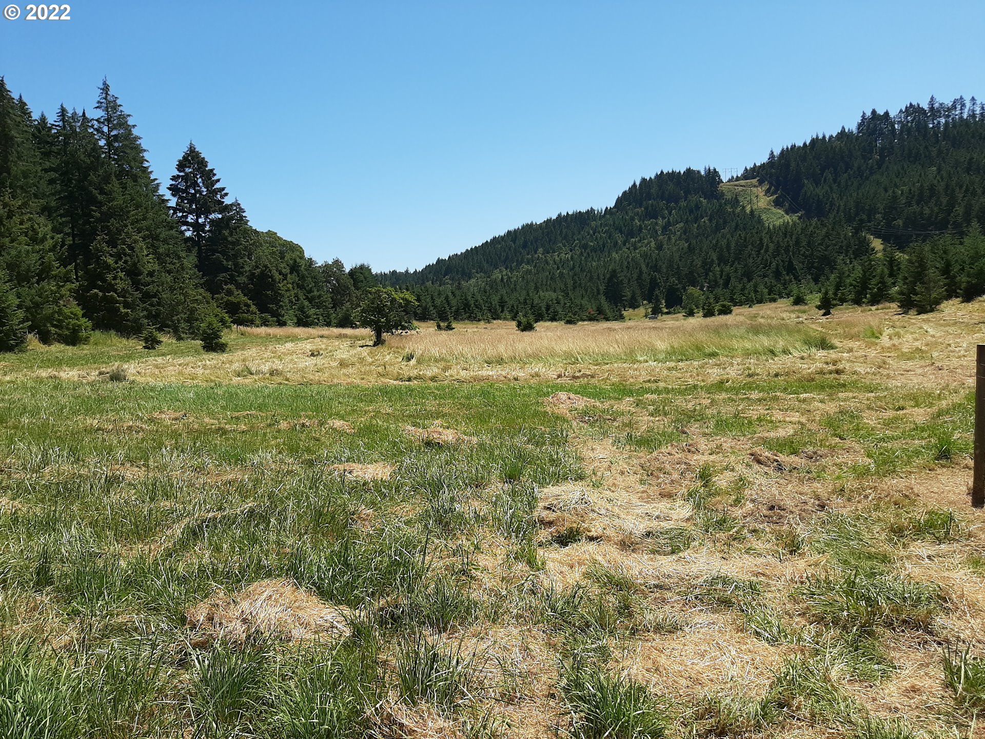 7246 Melqua Road Umpqua, OR 97486 - Photo 5 of 13 Gallery Image 5