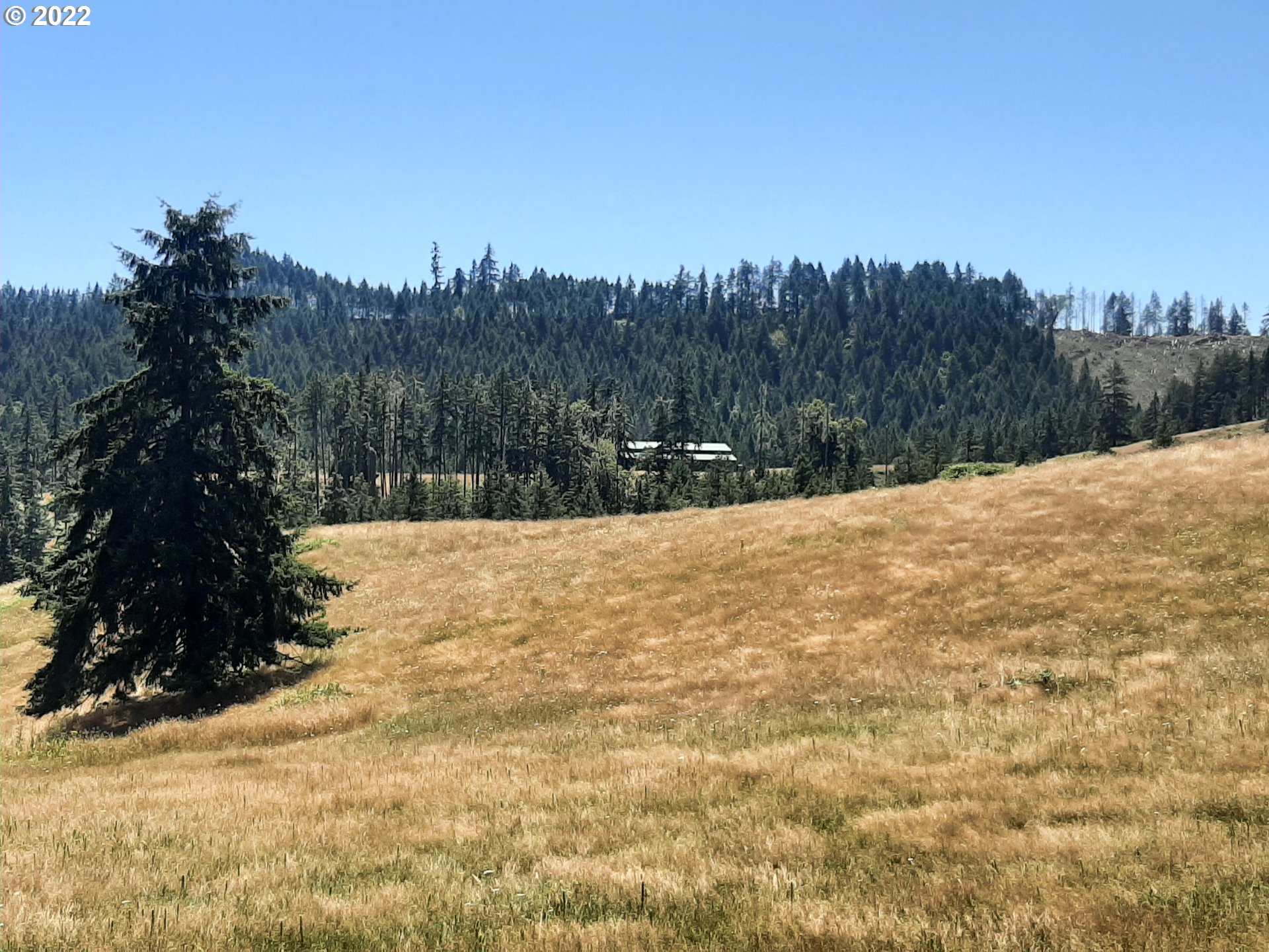 7246 Melqua Road Umpqua, OR 97486 - Photo 6 of 13 Gallery Image 6