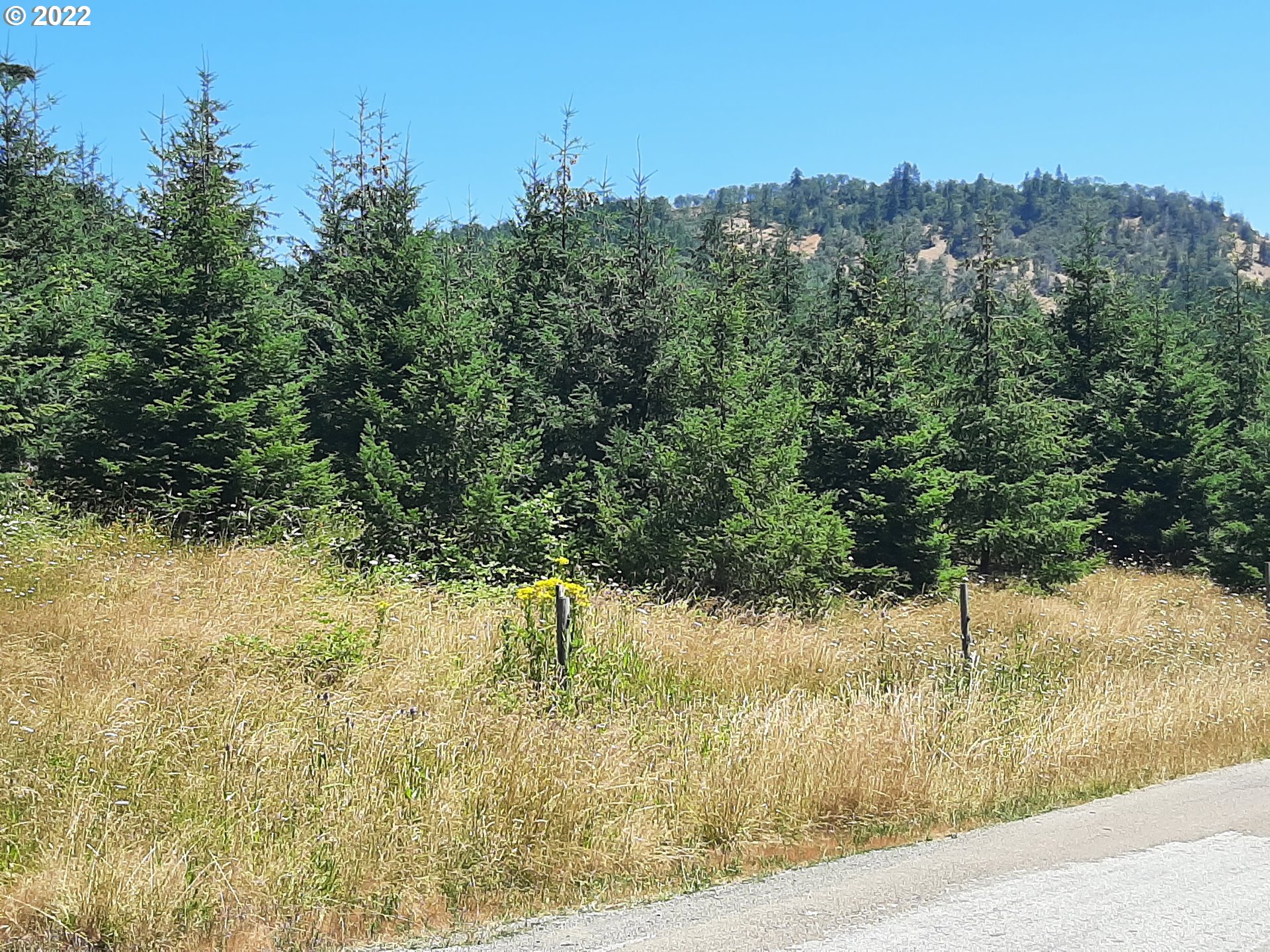7246 Melqua Road Umpqua, OR 97486 - Photo 8 of 13 Gallery Image 8