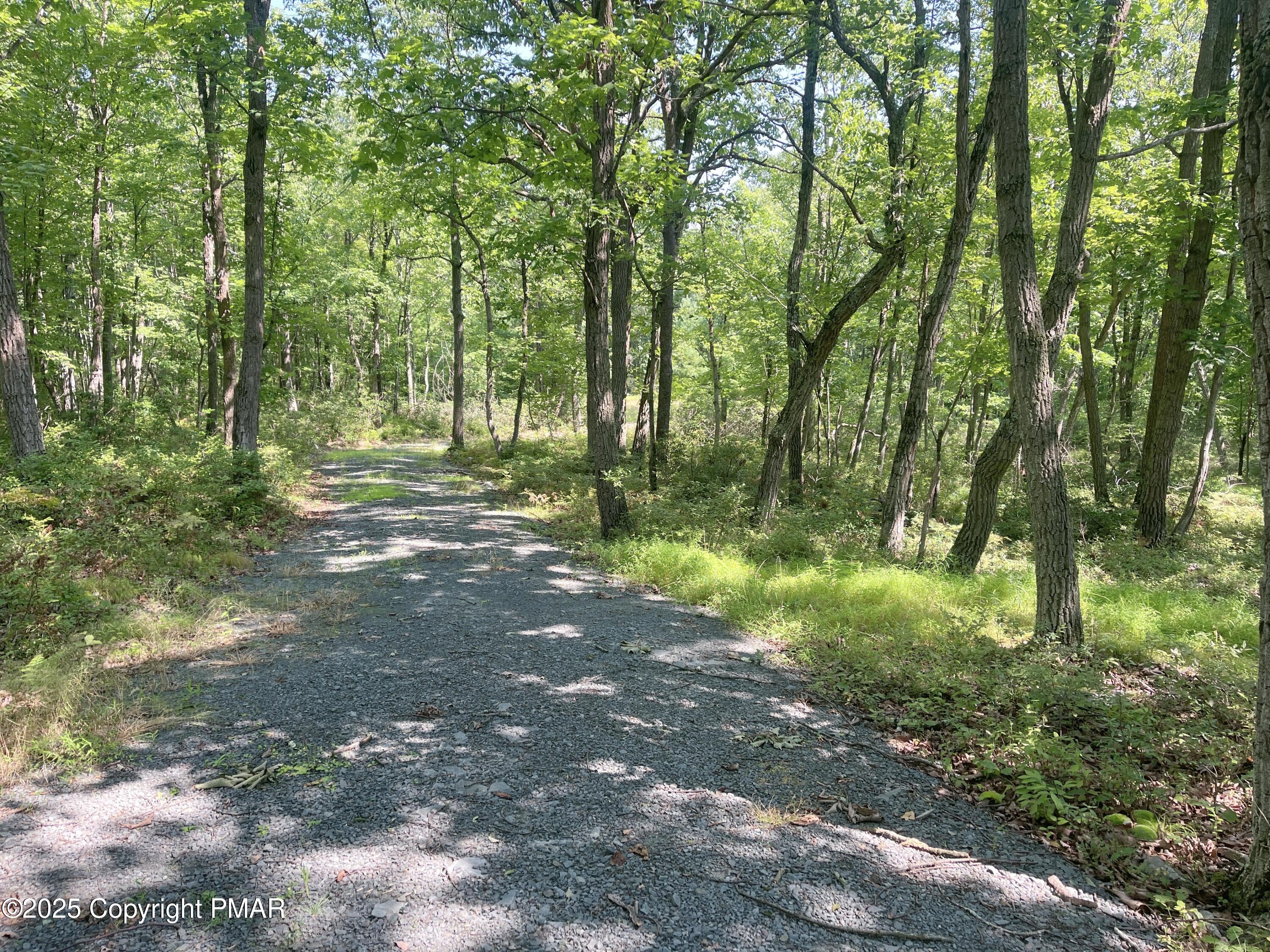 140 Cabin Ridge Road Hawley, PA 18428 - Photo 4 of 14 3 Driveway