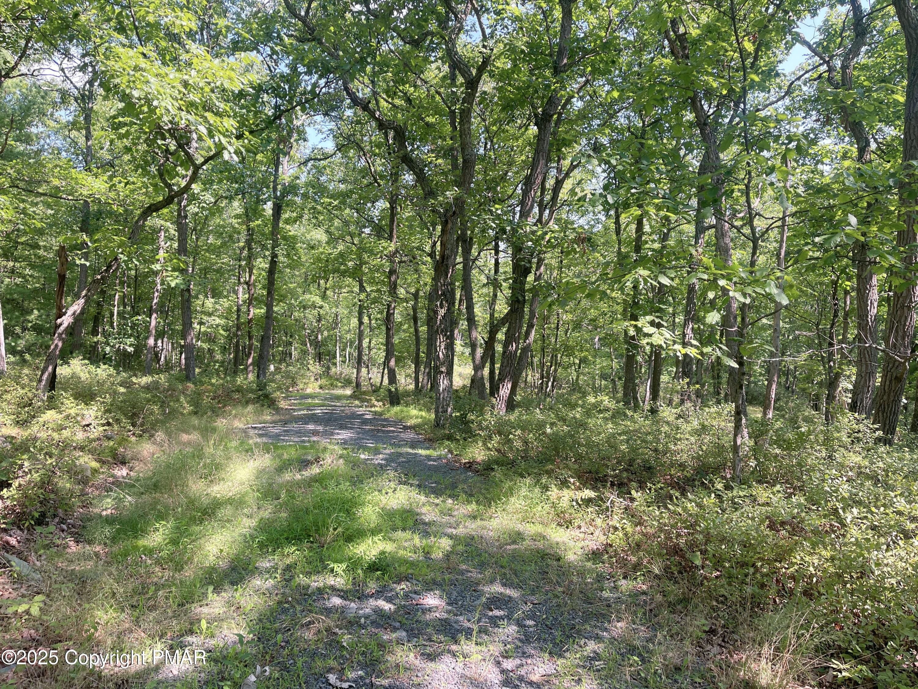 140 Cabin Ridge Road Hawley, PA 18428 - Photo 5 of 14 4 Land and driveway