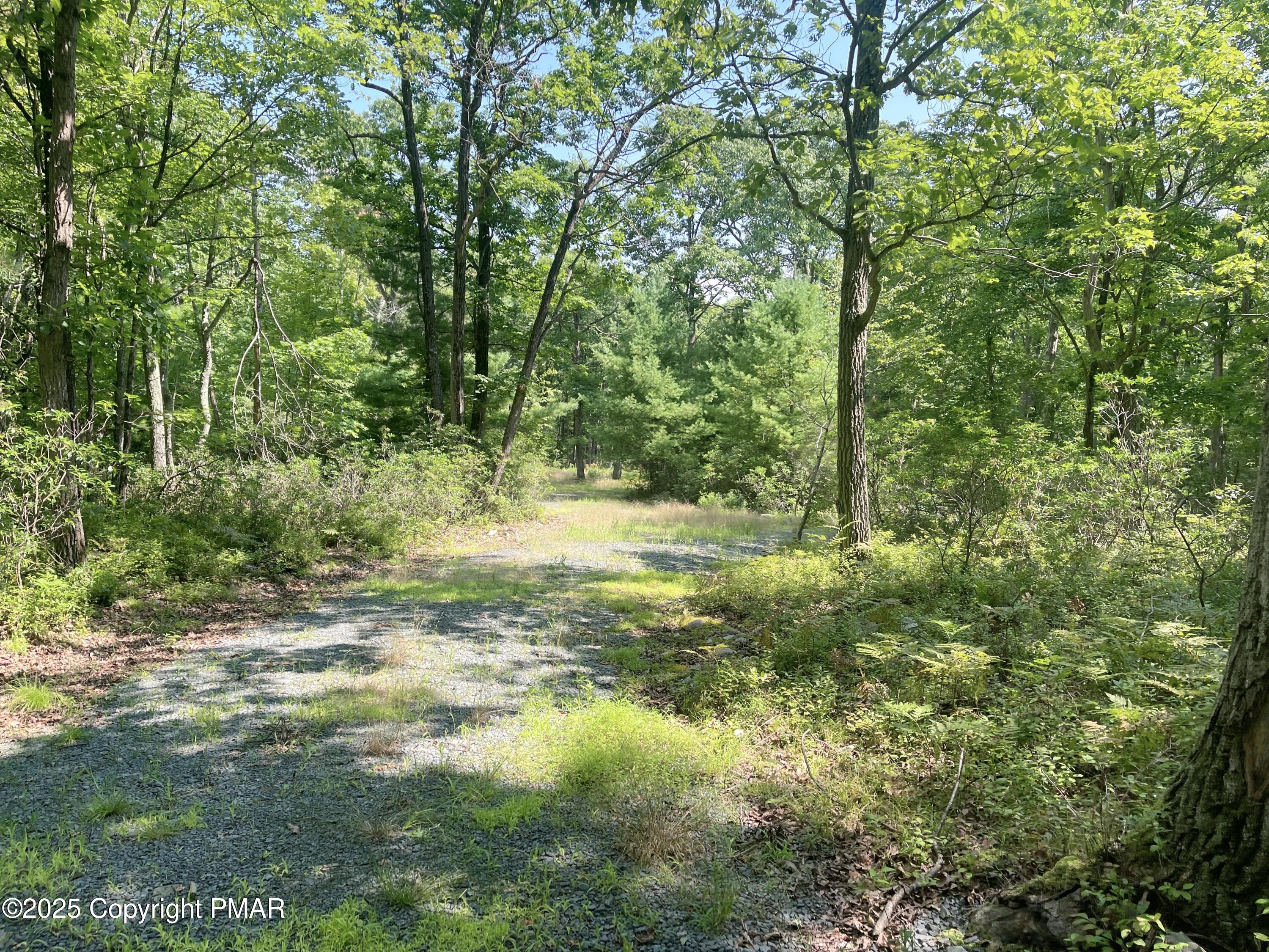 140 Cabin Ridge Road Hawley, PA 18428 - Photo 6 of 14 5 Circlular driveway