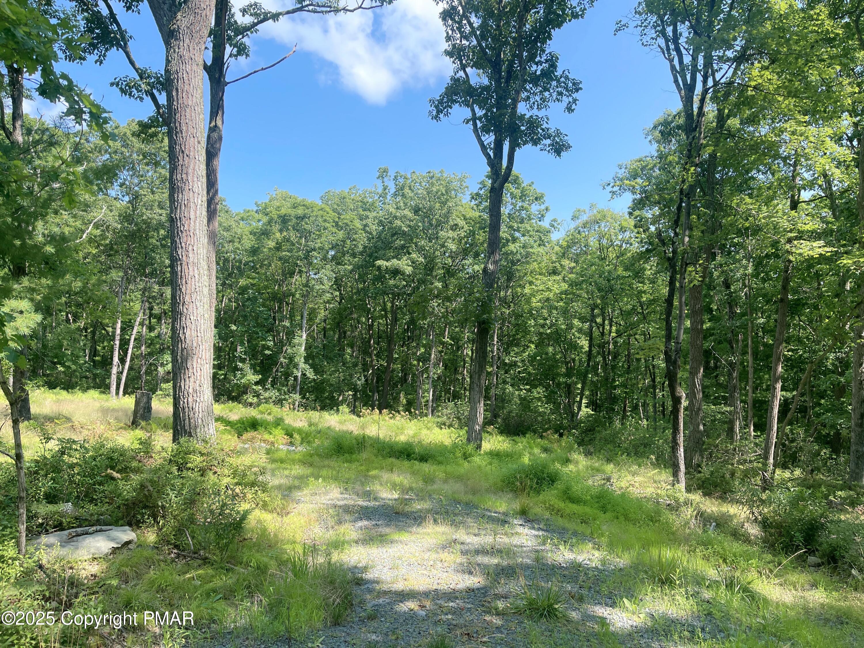 140 Cabin Ridge Road Hawley, PA 18428 - Photo 7 of 14 6 clearing for house