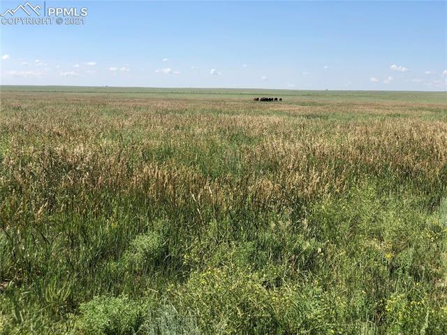0 Judge Orr Road Rush, CO 80833 - Photo 11 of 23