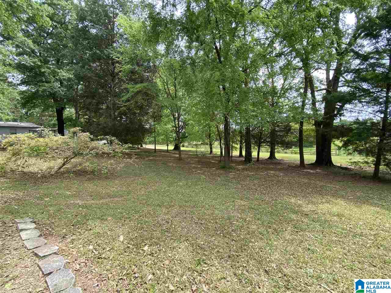 424 Lewis Road Columbiana, AL 35051 - Photo 46 of 50
