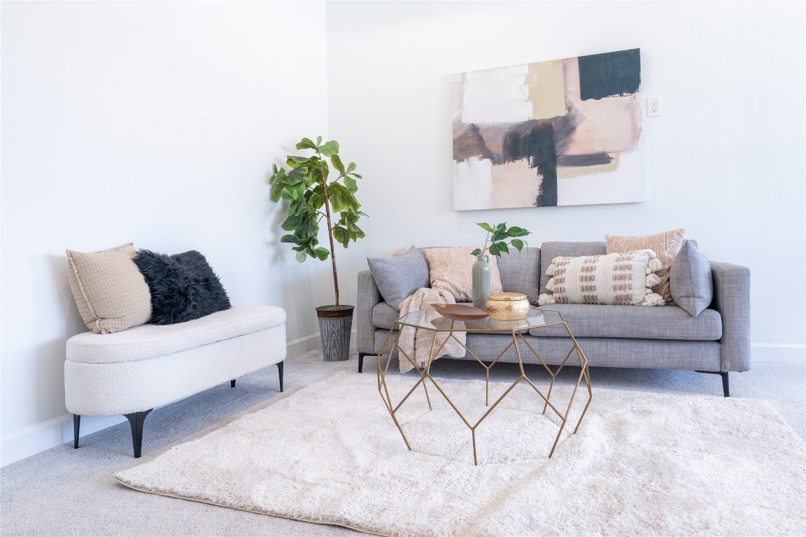 724 Chama Trace Dripping Springs, TX 78620 - Photo 12 of 40 a living room with furniture and a potted plant
