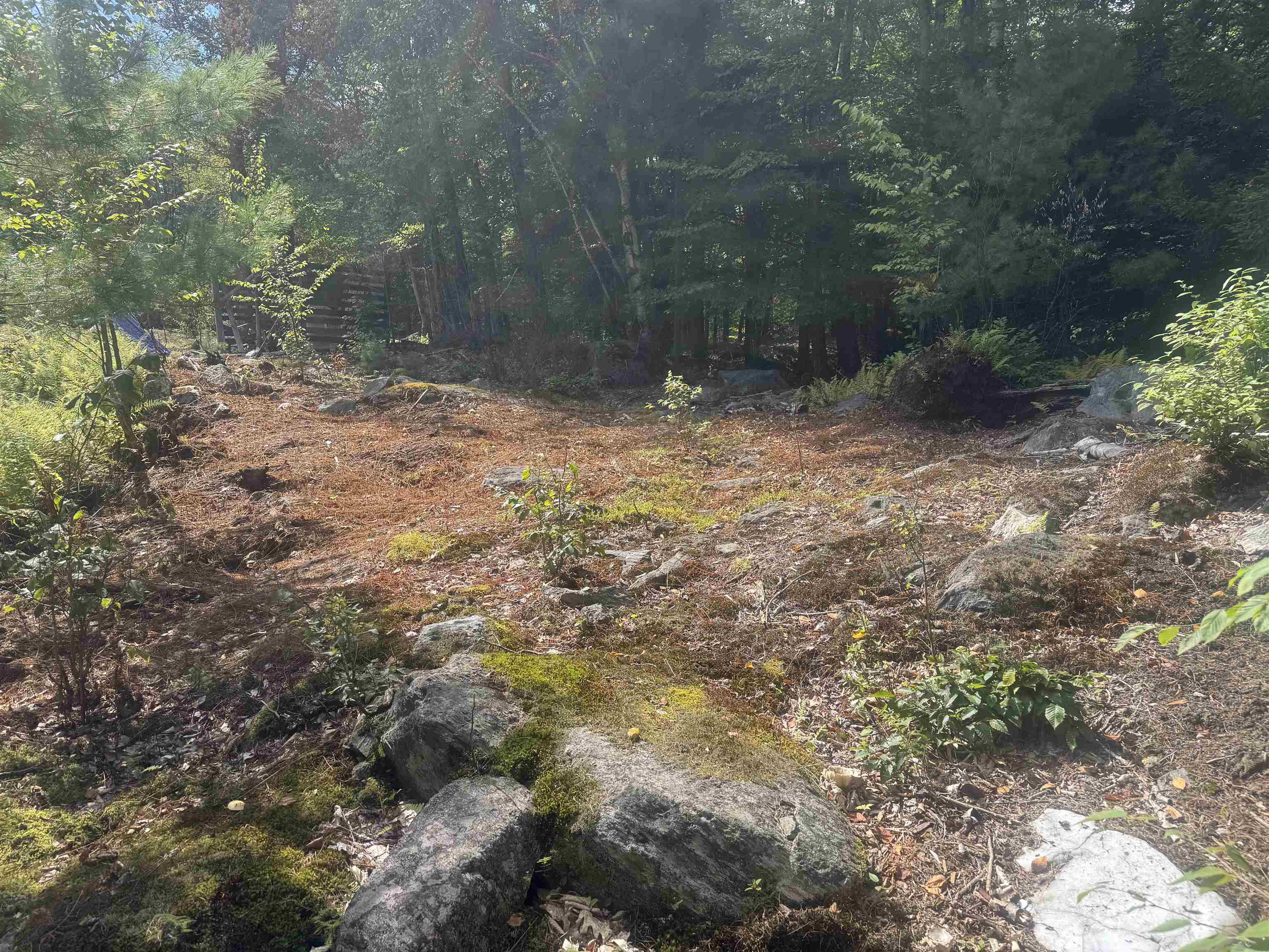 600 Halls Pond Road Acworth, NH 03601 - Photo 5 of 10 Gallery Image 5