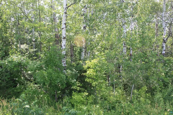 $49,900 | 39-xx South County Rd O, Maple, WI 54854