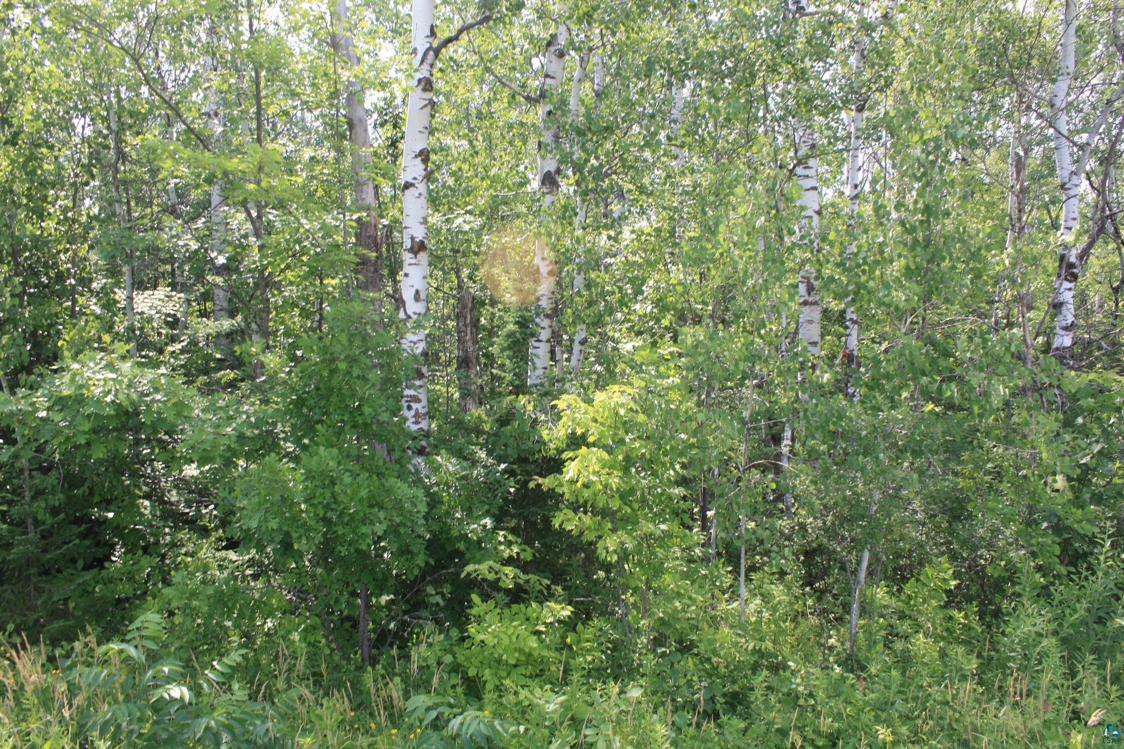 39-xx South County Rd O Maple, WI 54854 - Photo 11 of 12