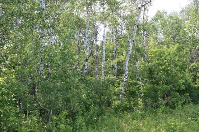 $49,900 | 39-xx South County Rd O, Maple, WI 54854