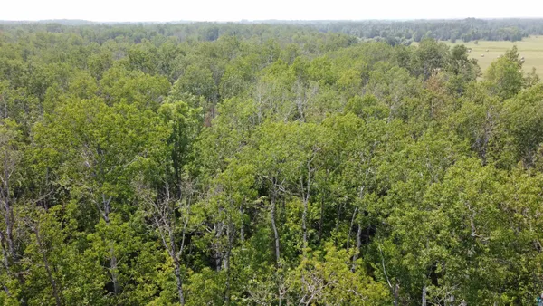 $49,900 | 39-xx South County Rd O, Maple, WI 54854