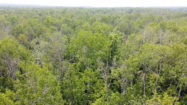 $49,900 | 39-xx South County Rd O, Maple, WI 54854