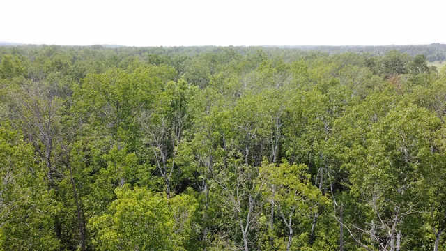 $49,900 | 39-xx South County Rd O, Maple, WI 54854