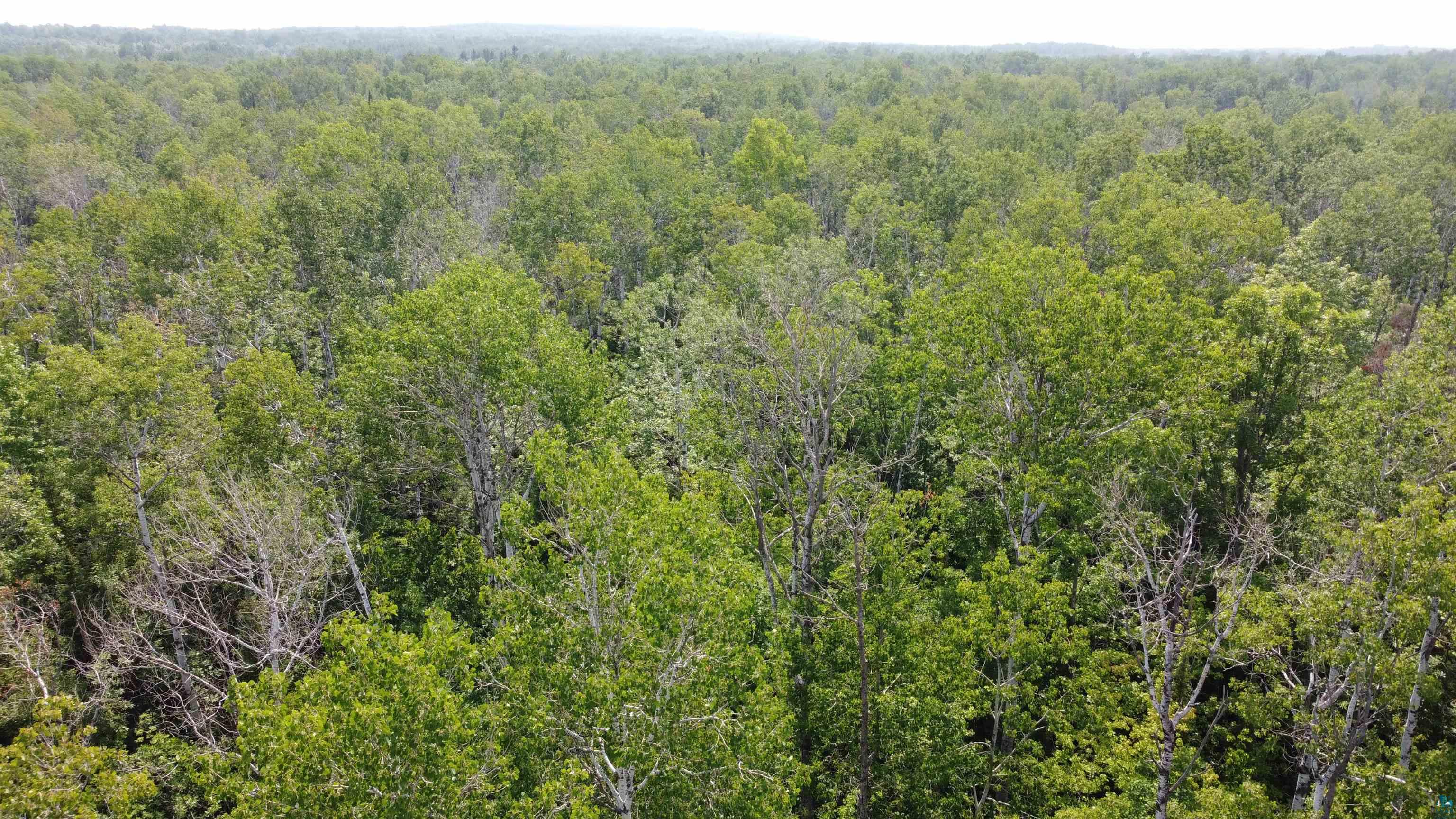 39-xx South County Rd O Maple, WI 54854 - Photo 7 of 12