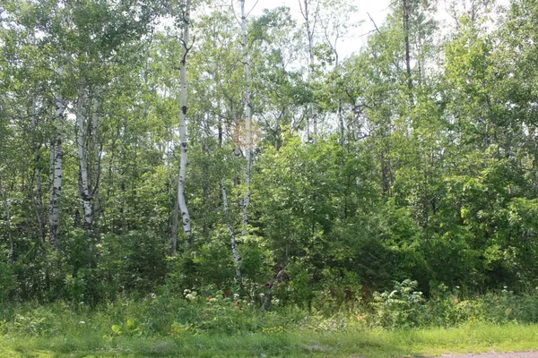 $49,900 | 39-xx South County Rd O, Maple, WI 54854