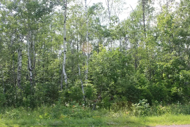 $49,900 | 39-xx South County Rd O, Maple, WI 54854