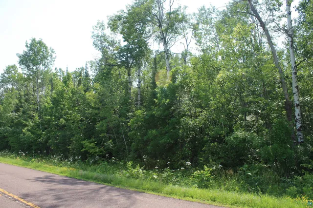 $49,900 | 39-xx South County Rd O, Maple, WI 54854