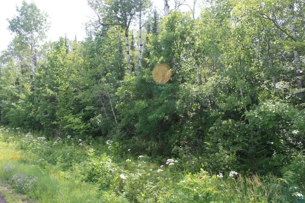 $49,900 | 39-xx South County Rd O, Maple, WI 54854