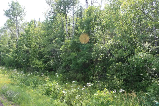 $49,900 | 39-xx South County Rd O, Maple, WI 54854