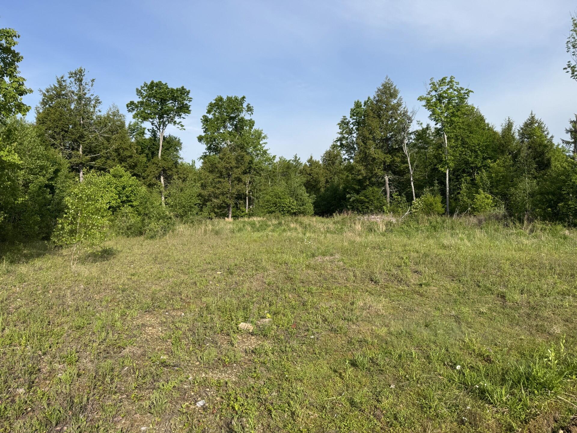 Lot 3 Albion Road Unity, ME 04988 - Photo 2 of 13 Orchard or food plot space