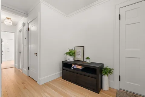 a room with furniture and a potted plant