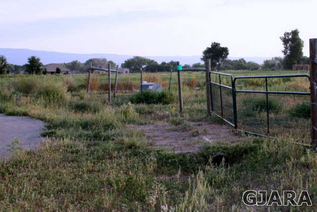 1441 17 3/4 Road Fruita, CO 81521 - Photo 2 of 11 a view of a pathway with a wrought fence