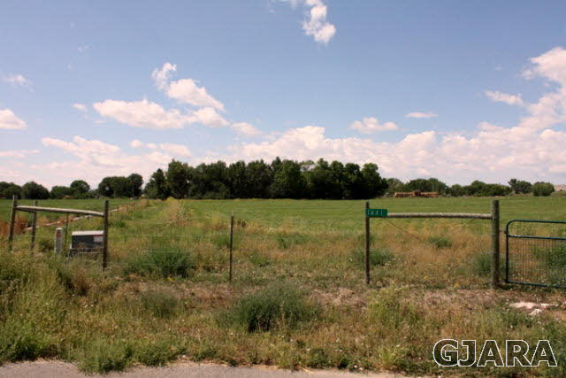 1441 17 3/4 Road Fruita, CO 81521 - Photo 3 of 11 a view of a lake from a yard