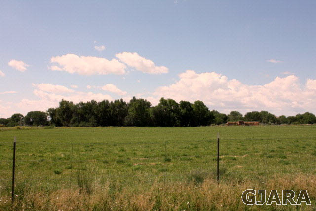 1441 17 3/4 Road Fruita, CO 81521 - Photo 5 of 11 a view of an outdoor space and a yard