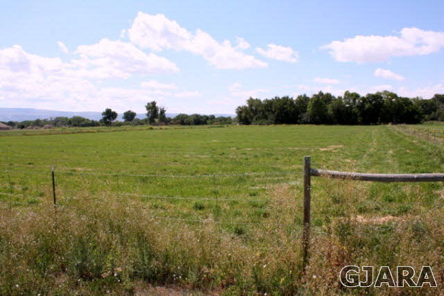 1441 17 3/4 Road Fruita, CO 81521 - Photo 6 of 11 a view of a lake from a yard