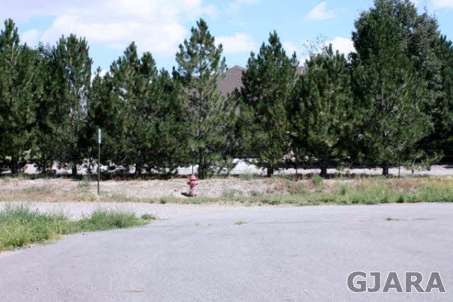 1441 17 3/4 Road Fruita, CO 81521 - Photo 7 of 11 a view of a park that has a tree on the side of it