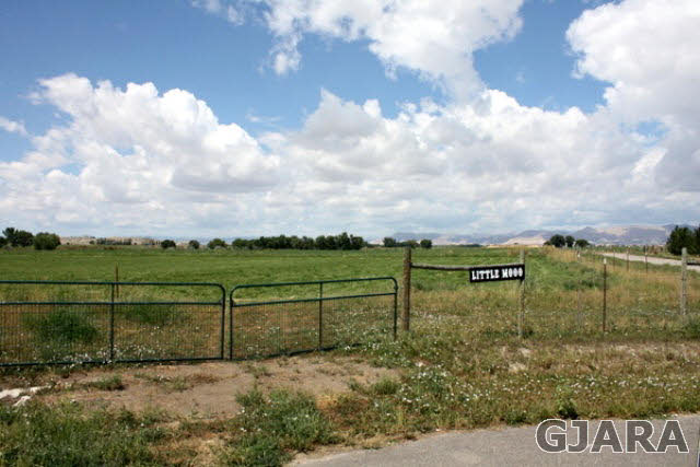 1441 17 3/4 Road Fruita, CO 81521 - Photo 8 of 11 a view of a lake with a houses