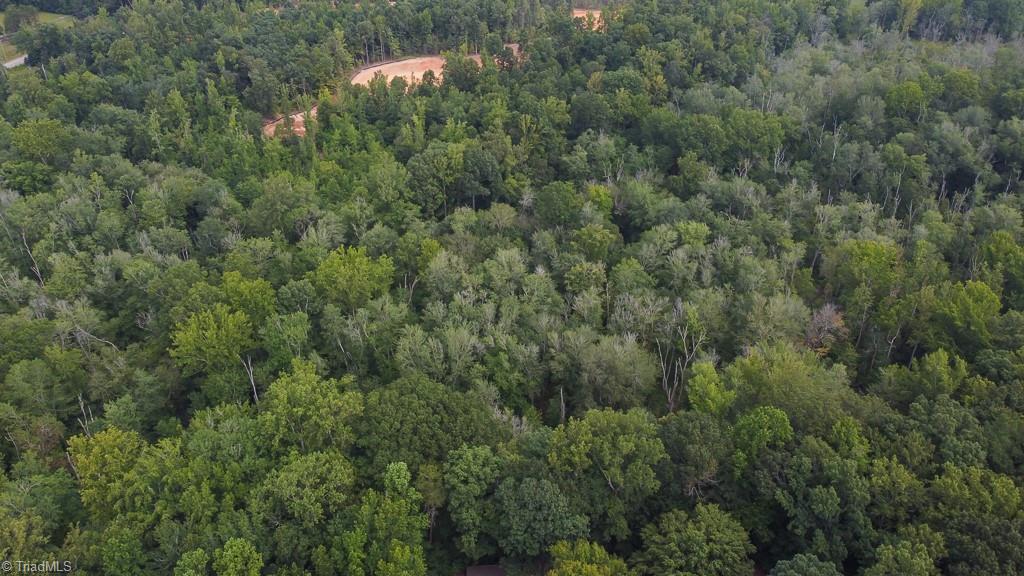 7400-7400 Haw Ridge Road Summerfield, NC 27358 - Photo 5 of 13