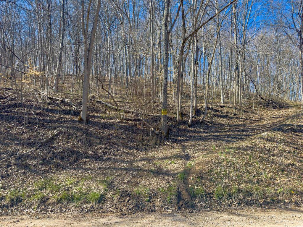 0 Sharps Run Road Stewart, OH 45778 - Photo 14 of 14 13
