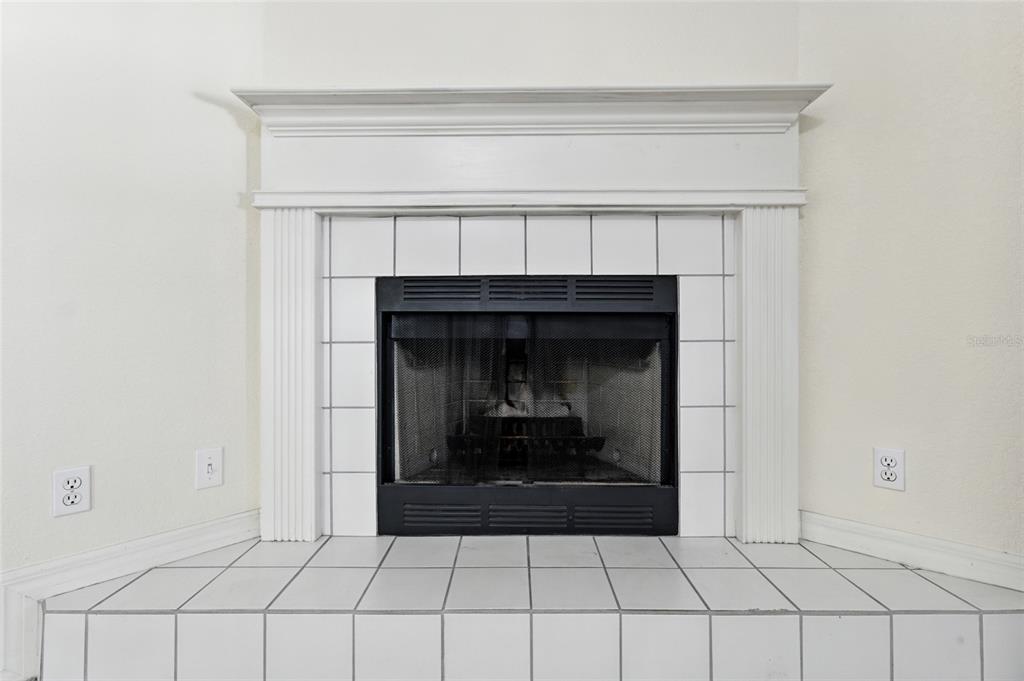 655 Powder Horn Row Lakeland, FL 33809 - Photo 8 of 39