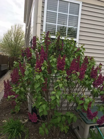 $499,900 | 8 Litchfield Court, Lake In The Hills, IL 60156