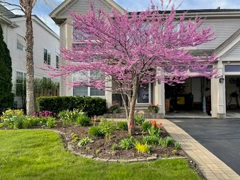 $499,900 | 8 Litchfield Court, Lake In The Hills, IL 60156