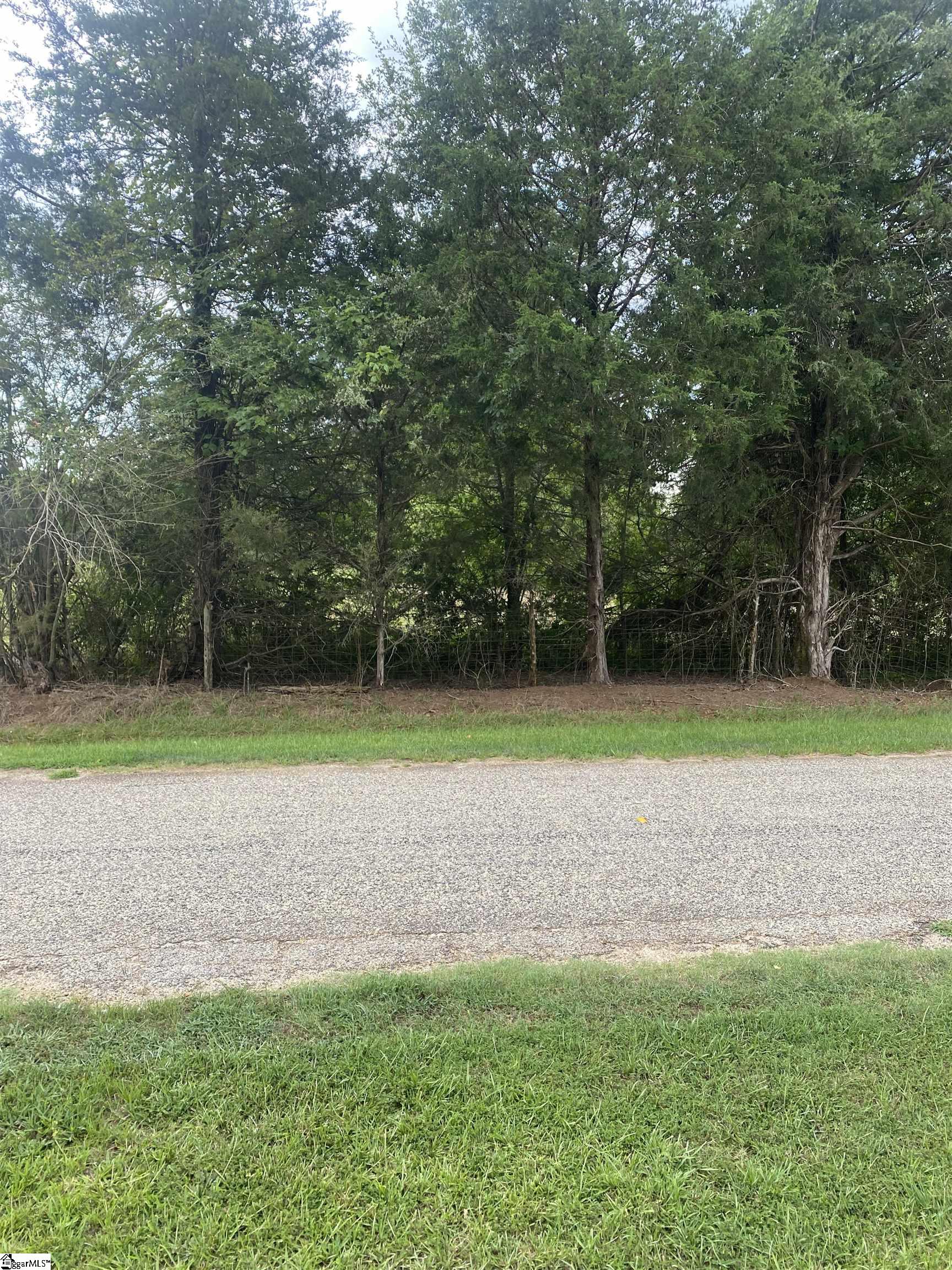 0 Edgewater Road Woodruff, SC 29388 - Photo 5 of 5