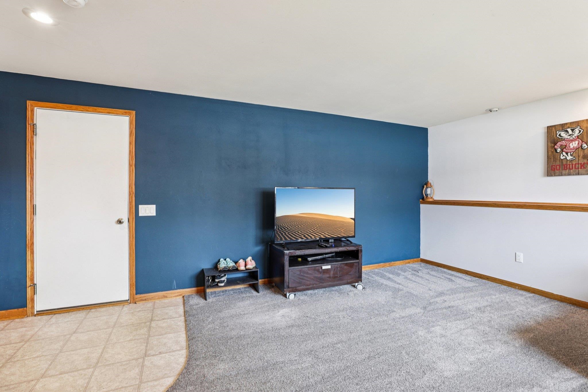 457 Mitchell Street Belleville, WI 53508 - Photo 22 of 30